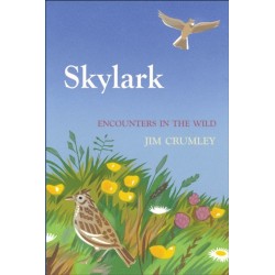 Skylark