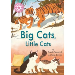 Reading Champion: Big Cats, Little Cats: Independent Reading Pink 1B Non-fiction