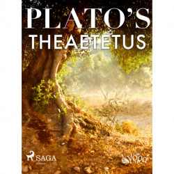 Plato’s Theaetetus