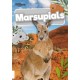 Marsupials