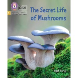 The Secret Life of Mushrooms: Phase 5 Set 4 Stretch and Challenge