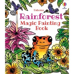Rainforest Magic Painting Book