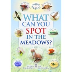 What Can You Spot in the Meadows?