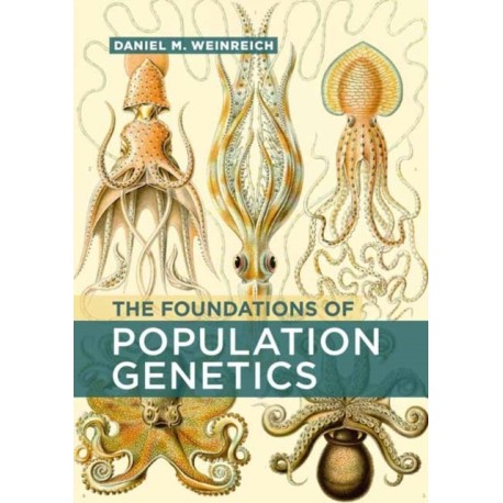 The Foundations of Population Genetics
