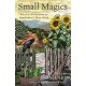 Small Magics: Practical Secrets from an Appalachian Village Witch