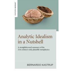 Analytic Idealism in a Nutshell: A straightforward summary of the 21st century's only plausible metaphysics