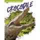 Crocodile