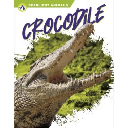 Crocodile