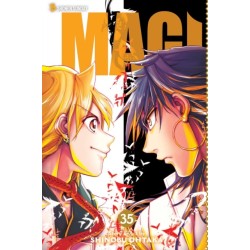 Magi: The Labyrinth of Magic, Vol. 35