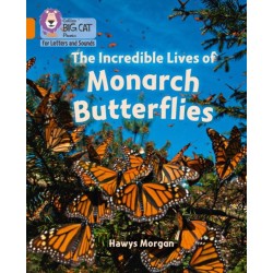 The Incredible Lives of Monarch Butterflies: Band 06/Orange