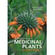 Medicinal Plants of East Africa