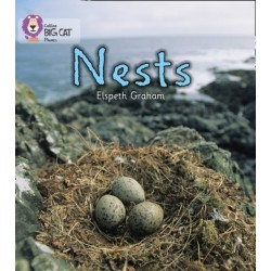 NESTS: Band 02a/Red a