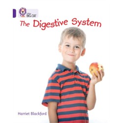 The Digestive System: Band 08/Purple