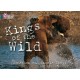 Kings of the Wild: Band 13/Topaz