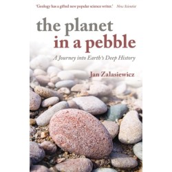 The Planet in a Pebble: A journey into Earth's deep history