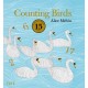Counting Birds