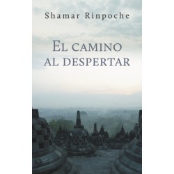 El El camino al despertar