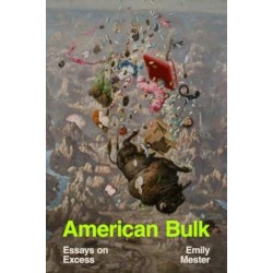 American Bulk: Essays on Excess