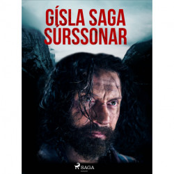 Gísla saga Súrssonar