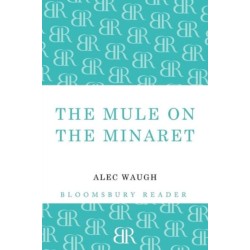 The Mule on the Minaret: A Novel about the Middle East