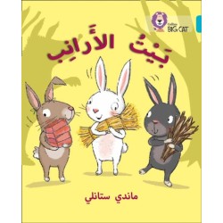 The Rabbits’ House: Level 7