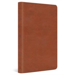 ESV Value Thinline Bible