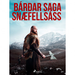 Bárðar saga Snæfellsáss