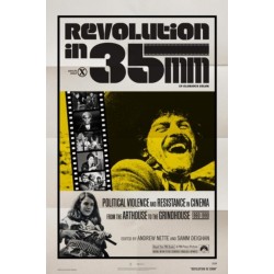 Revolution in 35mm: Political Violence and Resistance in Cinema from the Arthouse to the Grindhouse, 1969-1990