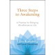 Three Steps to Awakening: A Practice for Bringing Mindfulness to Life
