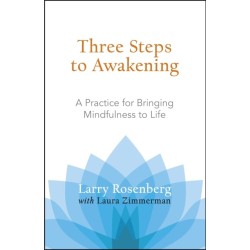 Three Steps to Awakening: A Practice for Bringing Mindfulness to Life