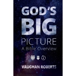 God's Big Picture: A Bible Overview