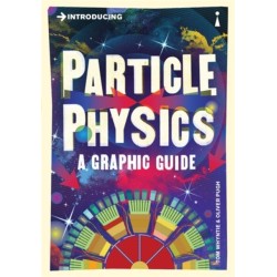 Introducing Particle Physics: A Graphic Guide