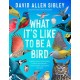 What It's Like to Be a Bird (Adapted for Young Readers): From Flying to Nesting, Eating to Singing--What Birds Are Doing and Why