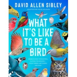 What It's Like to Be a Bird (Adapted for Young Readers): From Flying to Nesting, Eating to Singing--What Birds Are Doing and Why