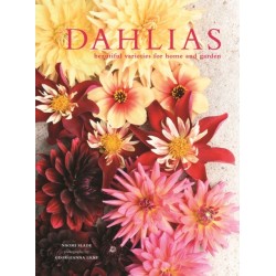 Dahlias: Beautiful varieties for home and garden