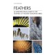 Feathers: An Identification Guide to the Feathers of Western European Birds