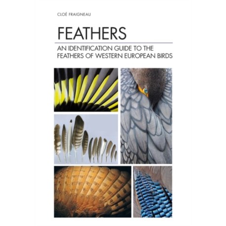 Feathers: An Identification Guide to the Feathers of Western European Birds