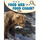 Is It a Food Web or a Food Chain?