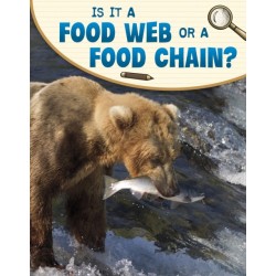 Is It a Food Web or a Food Chain?