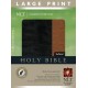 Large Print Compact Bible-NLT