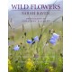 Sarah Raven's Wild Flowers