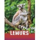 Lemurs