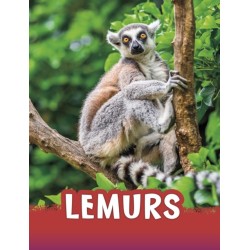Lemurs
