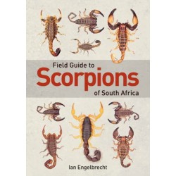 Field Guide to Scorpions of South Africa