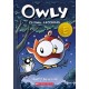 Flying Lessons: A Graphic Novel (Owly -3): Volume 3