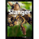Slanger