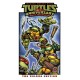 Teenage Mutant Ninja Turtles: 40th Anniversary Comics Celebration