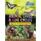 Animal Lives and Life Cycles: Let's Investigate Facts Activities Experients