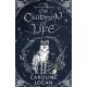 The Cauldron of Life: A Four Treasures Novel (Book 2)