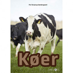 Køer